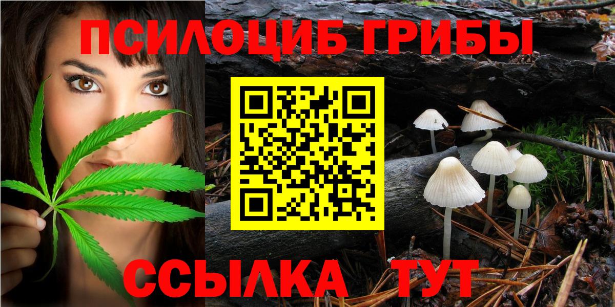 Псилоцибиновые грибы мухоморы  Вход с VPN  Псилоцибиновые грибы Cubensis  Богородицк 