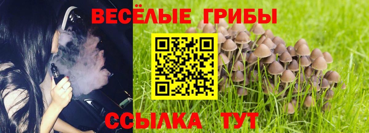 Галлюциногенные грибы мухоморы Богородицк