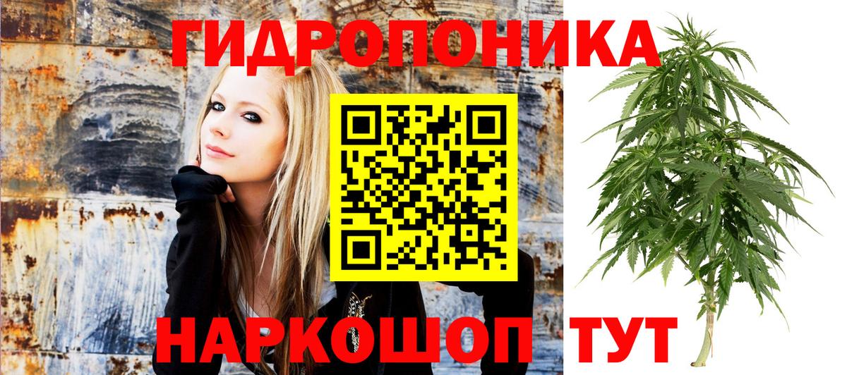 Шишки марихуана Amnesia  Вход с VPN  Конопля VHQ  МАРИХУАНА планчик  Богородицк  Конопля OG Kush 
